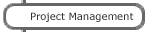 Project Management